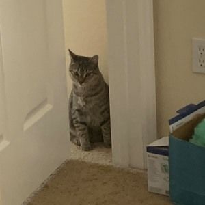 Meet your Posher, Omar